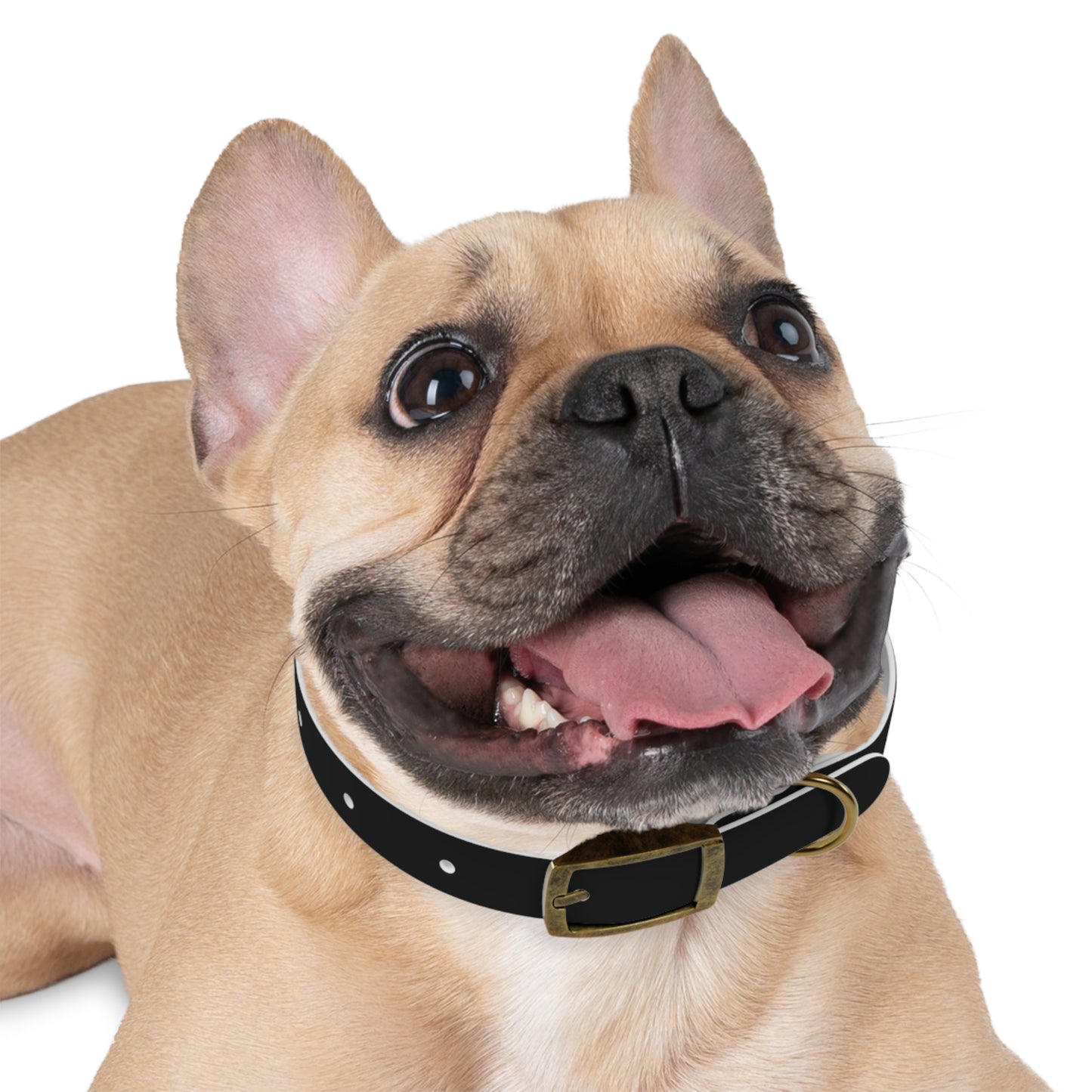 Stylish Custom Dog Collar - Adjustable Pet Accessory for Dogs - Perfect for Pet Lovers!