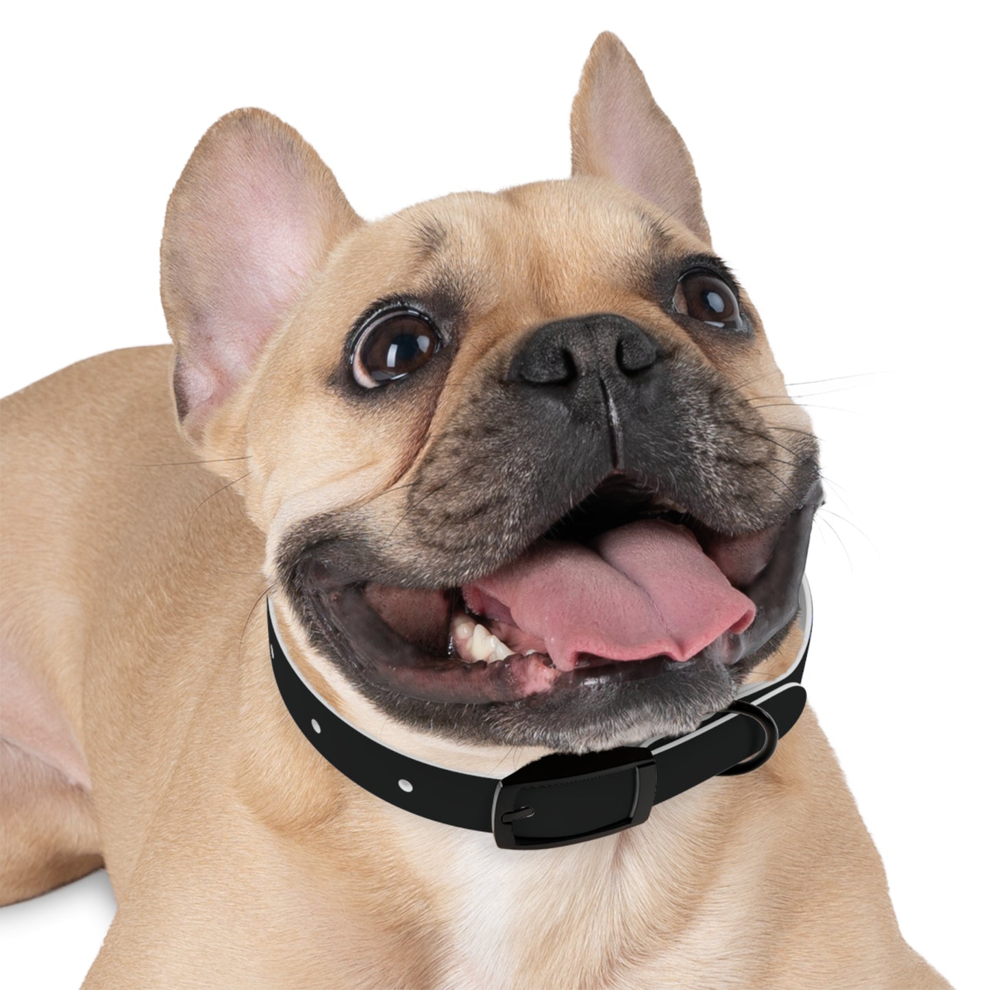 Personalized Dog Collar with Stylish Design - Custom Pet Accessory