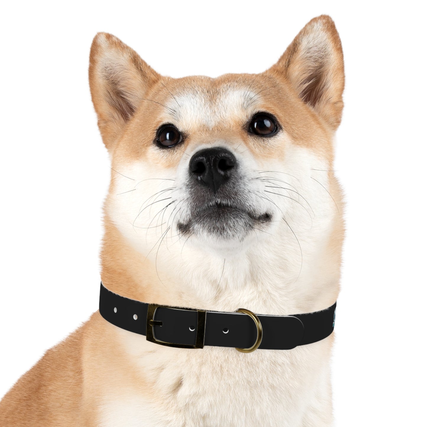 Stylish Custom Dog Collar - Adjustable Pet Accessory for Dogs - Perfect for Pet Lovers!