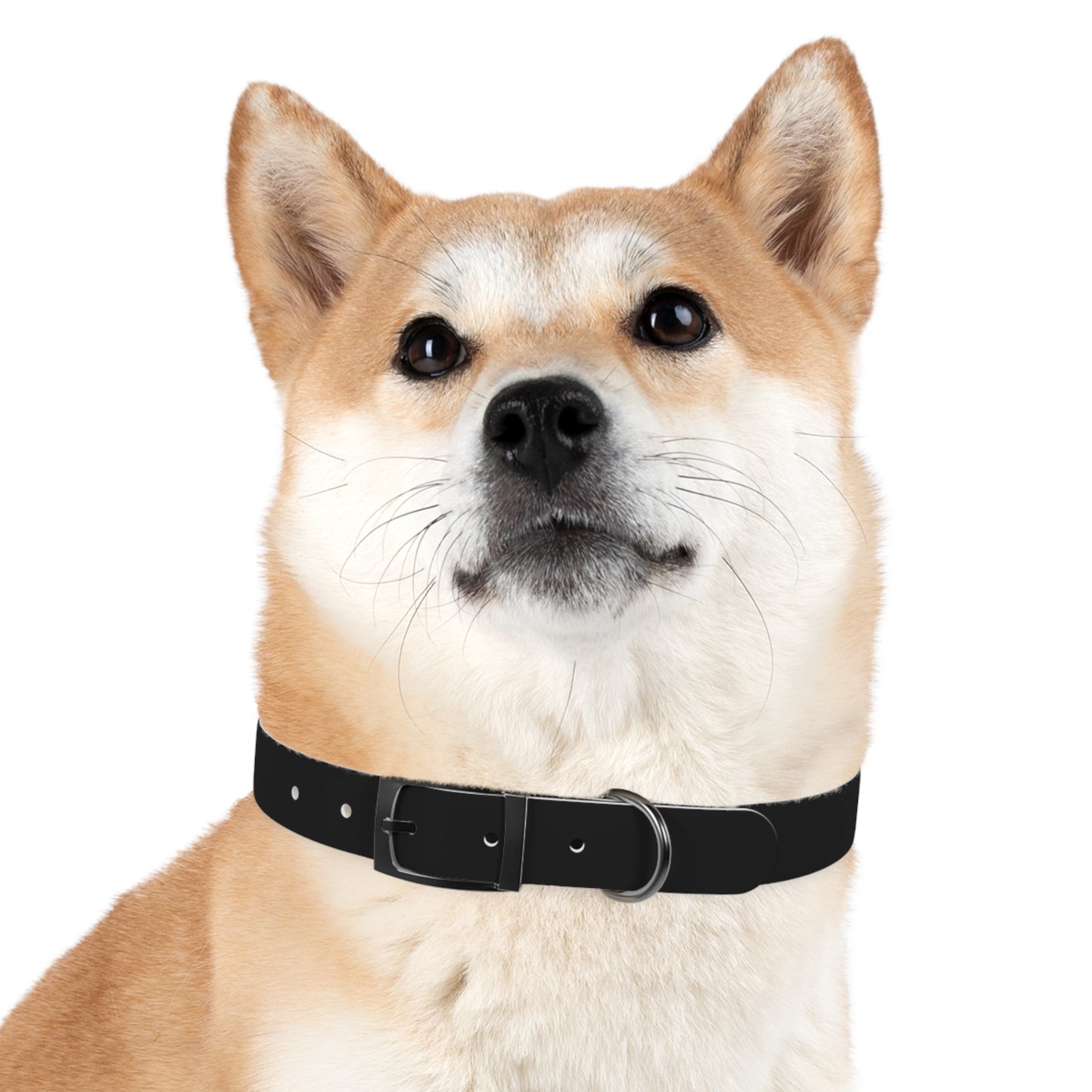 Stylish Custom Dog Collar - Adjustable Pet Accessory for Dogs - Perfect for Pet Lovers!