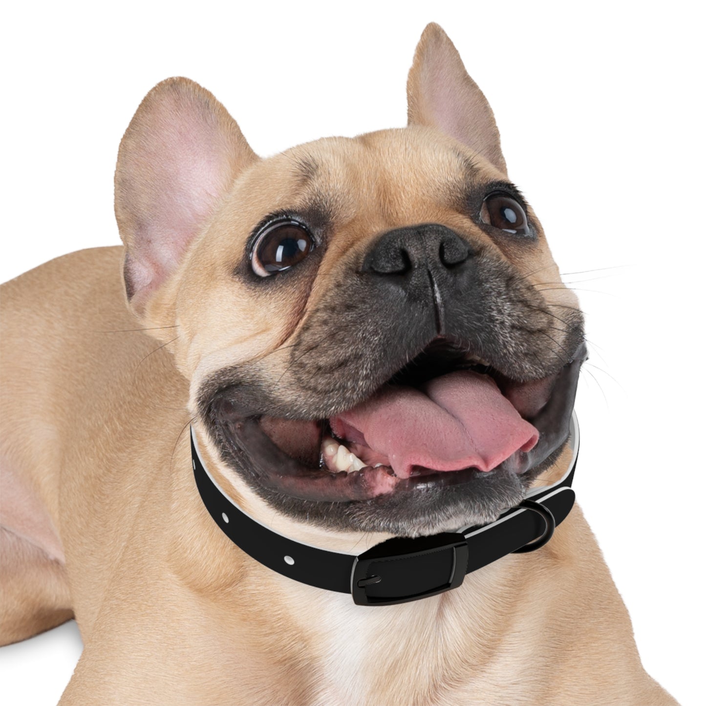 Stylish Custom Dog Collar - Adjustable Pet Accessory for Dogs - Perfect for Pet Lovers!