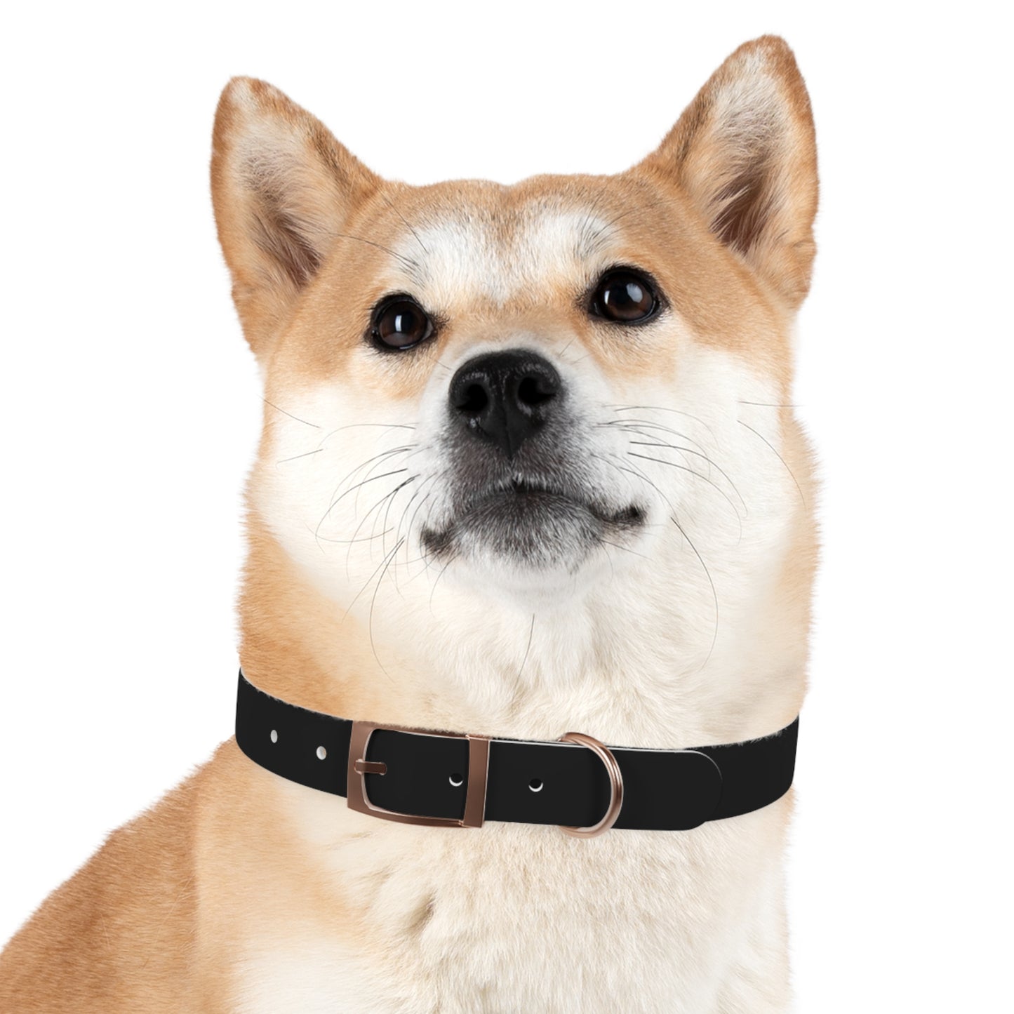 Stylish Custom Dog Collar - Adjustable Pet Accessory for Dogs - Perfect for Pet Lovers!