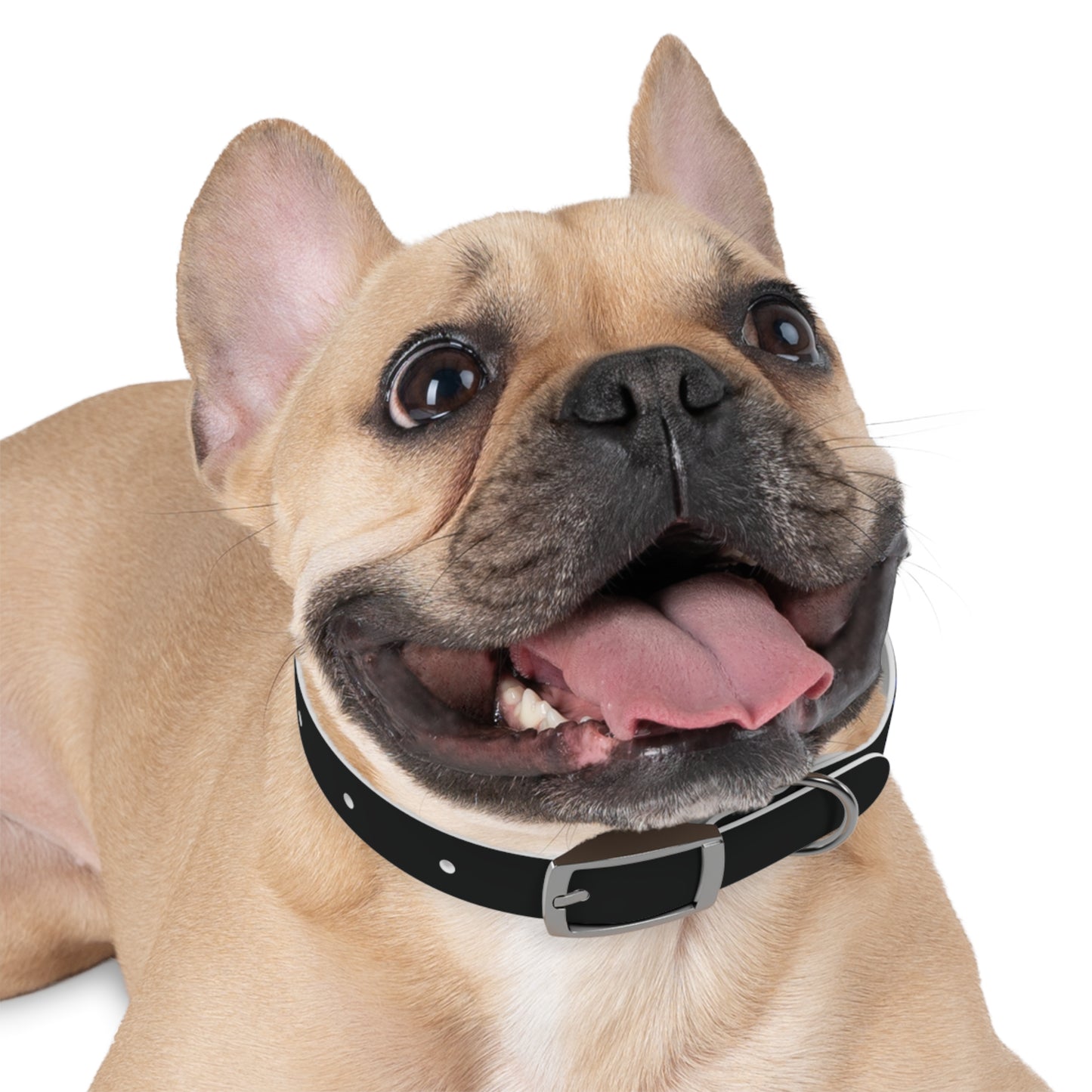 Personalized Dog Collar with Stylish Design - Custom Pet Accessory